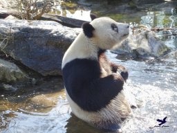 Tiergarten Schönbrunn am 05.03.2026